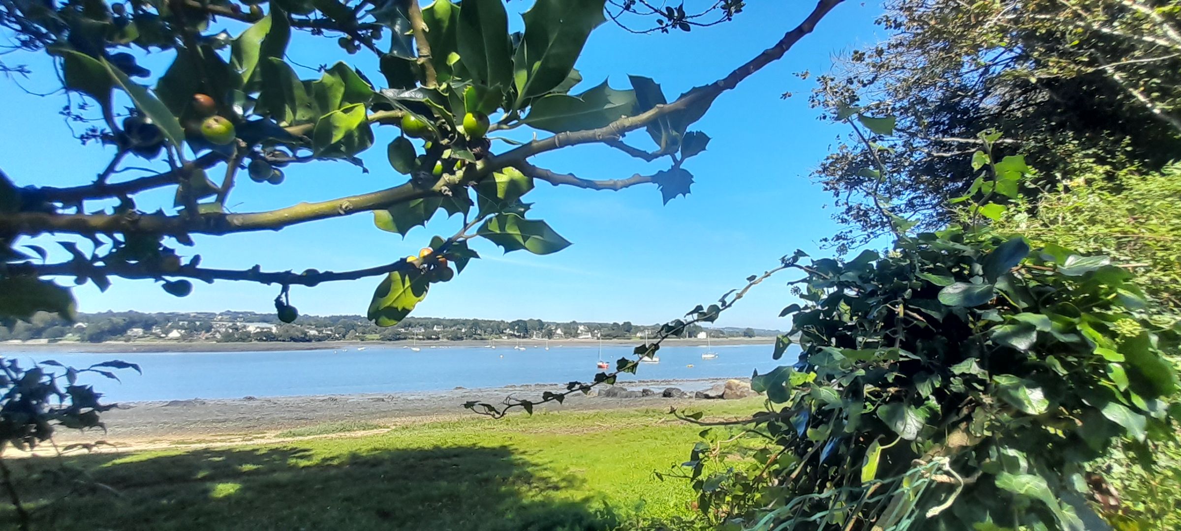 Camping saint jean